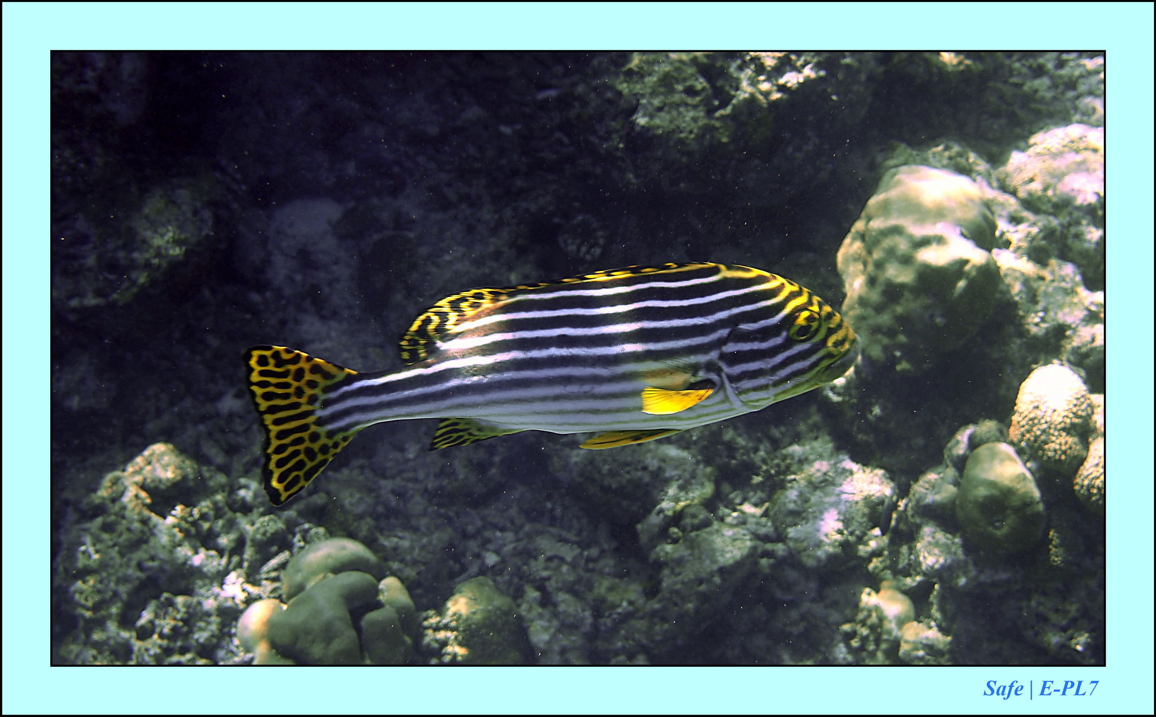 2023 - 07 - Sandies Bathala - 126